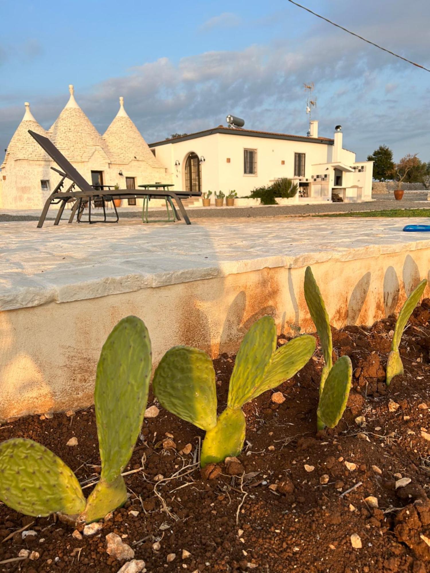 Trulli Enjoy Villa Noci Bagian luar foto