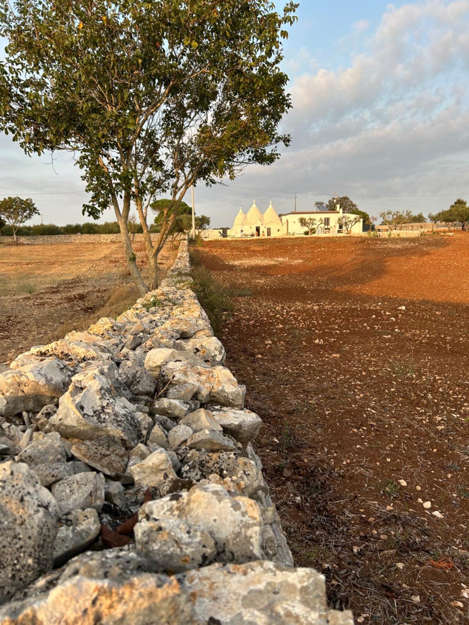 Trulli Enjoy Villa Noci Bagian luar foto