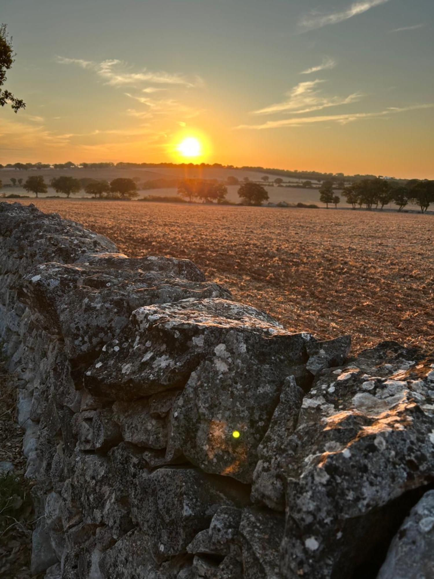 Trulli Enjoy Villa Noci Bagian luar foto