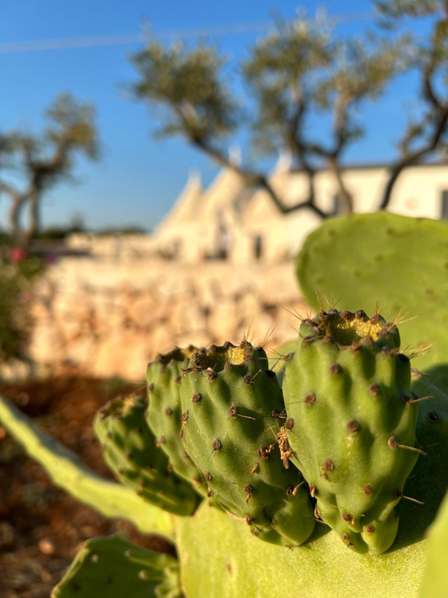 Trulli Enjoy Villa Noci Bagian luar foto